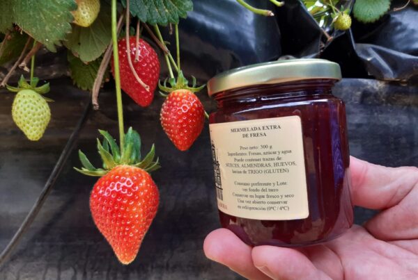 Nuns in Seville produce gourmet jam with Planasa strawberries