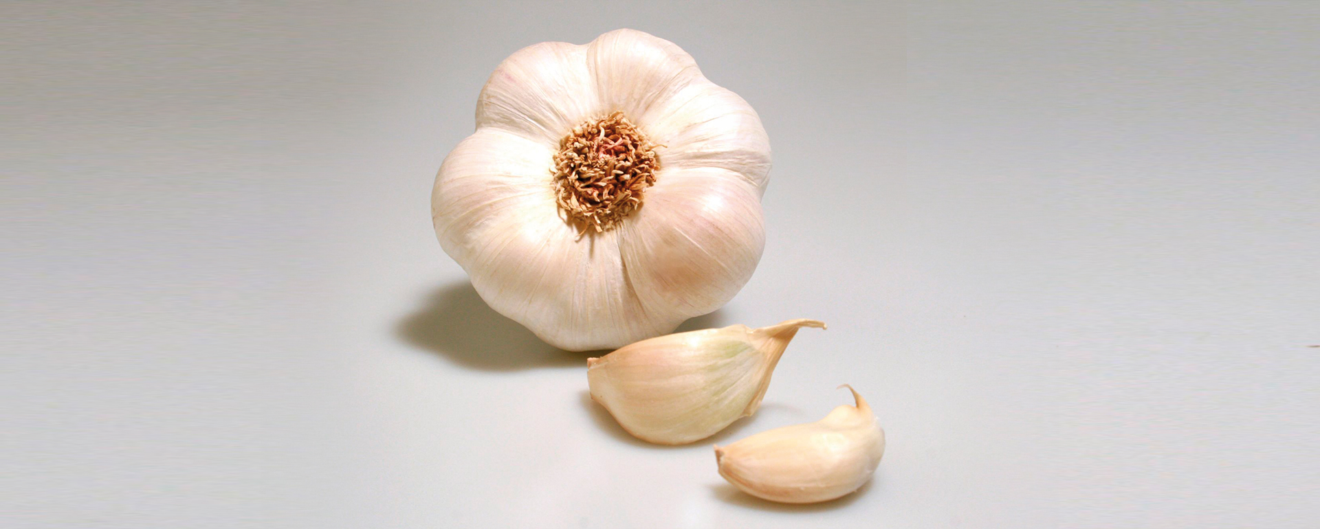 planasa-ajo-gardacho